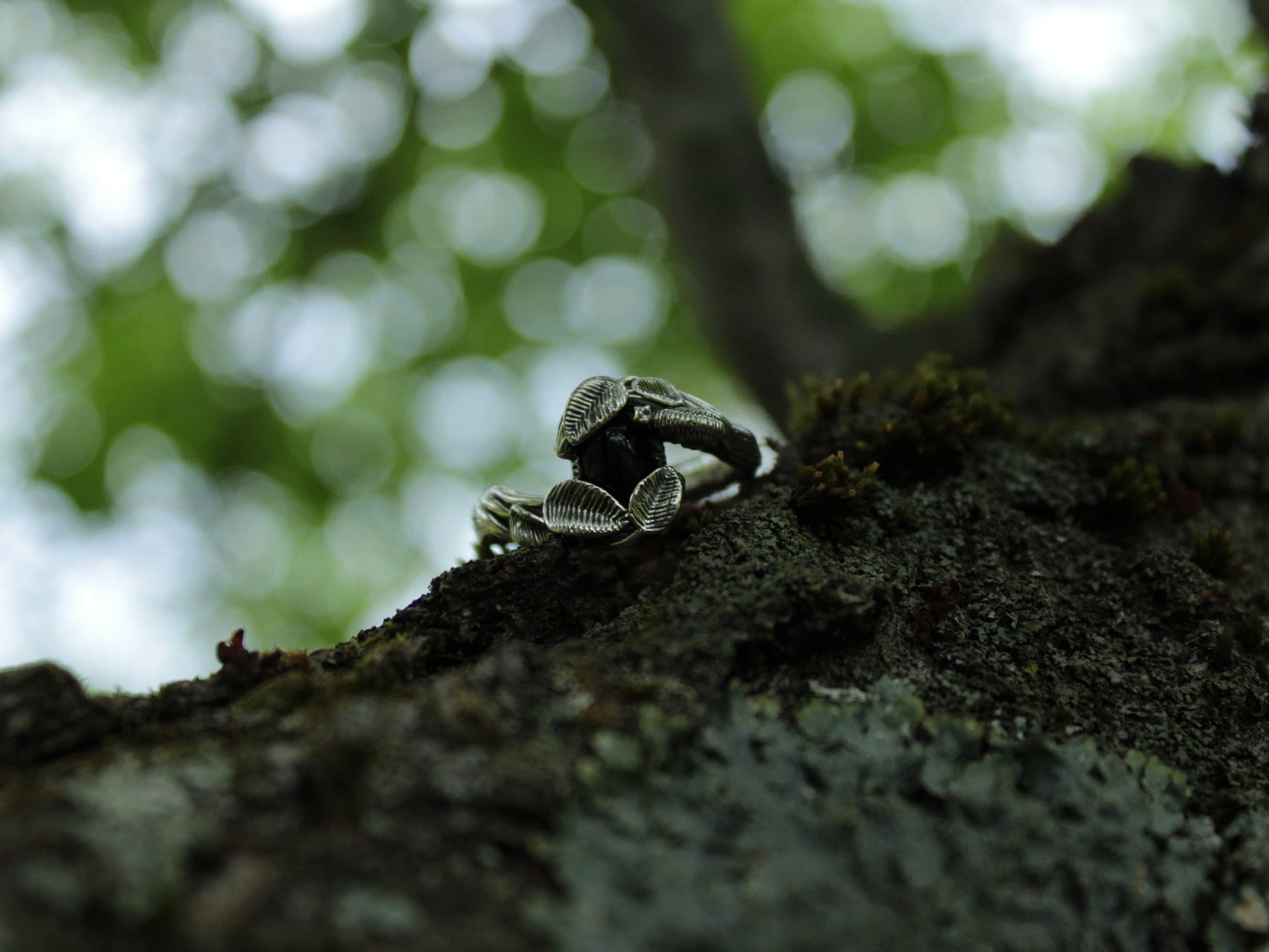 Leafy Trails - Black Onyx Snail Ring - JF Fantasy Jewelry