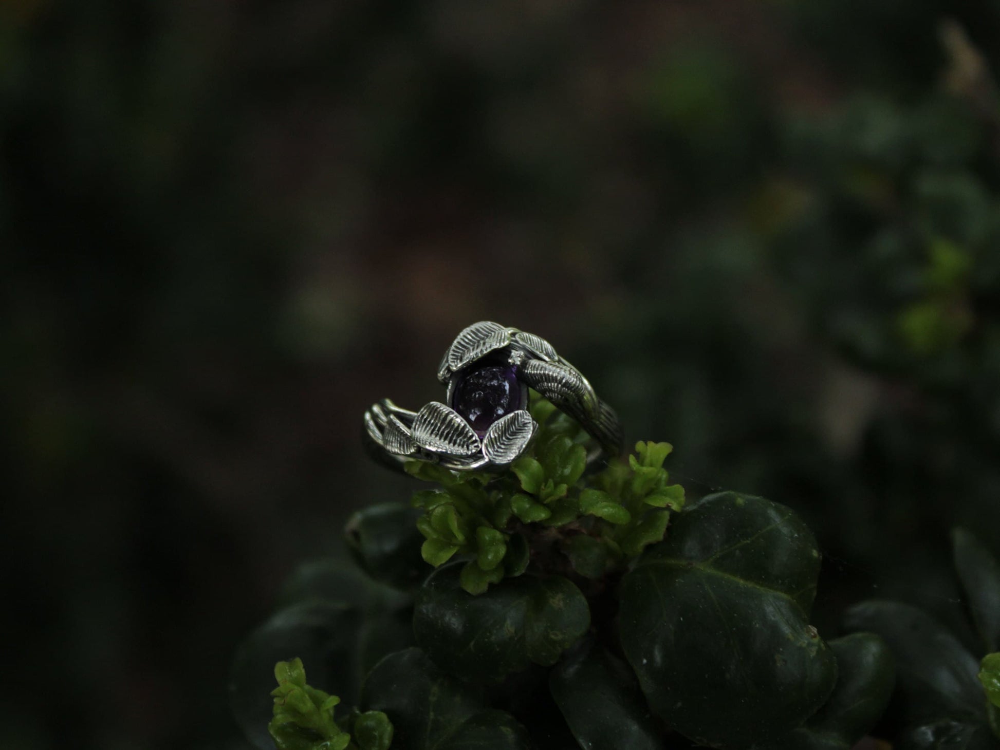 Leafy Trails - Amethyst Snail Ring - JF Fantasy Jewelry