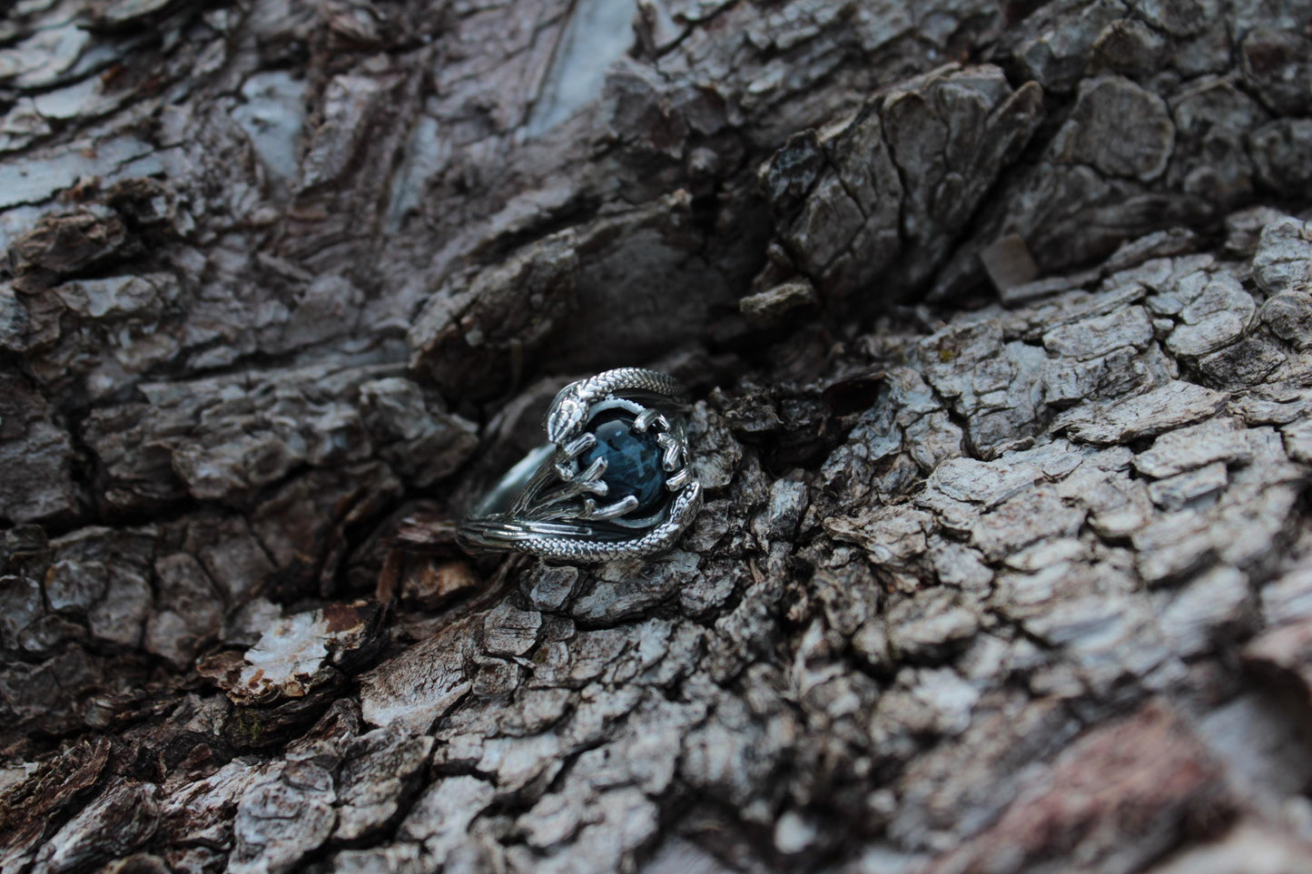 Serpent & Branch Ring - Sterling Silver Pietersite Ring