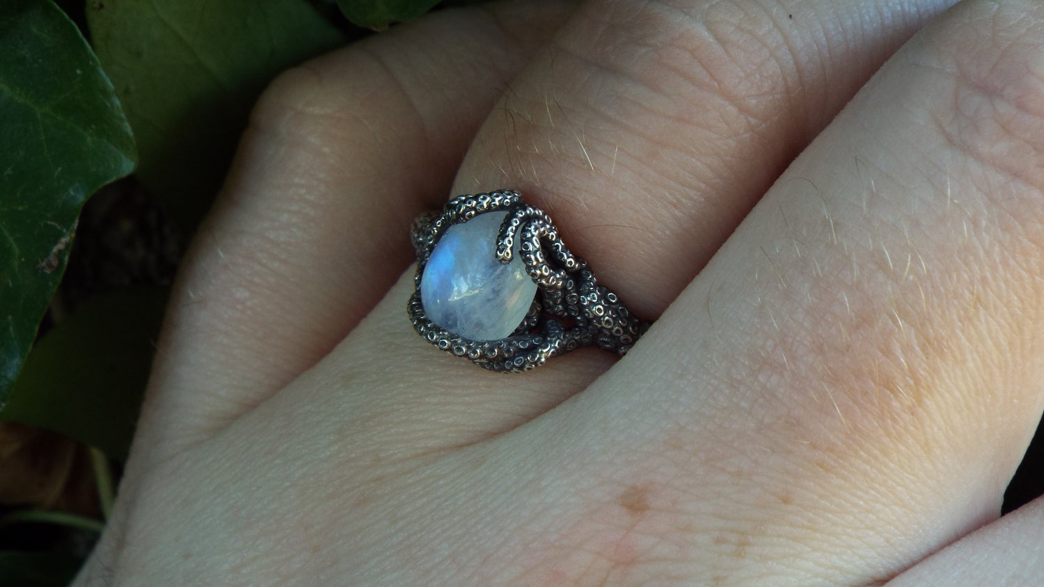 Mystic Sea Collection