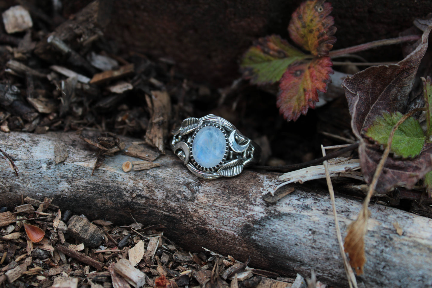 Witchlight Grove Ring - Moonstone Sterling Silver Ring - JF Fantasy Jewelry