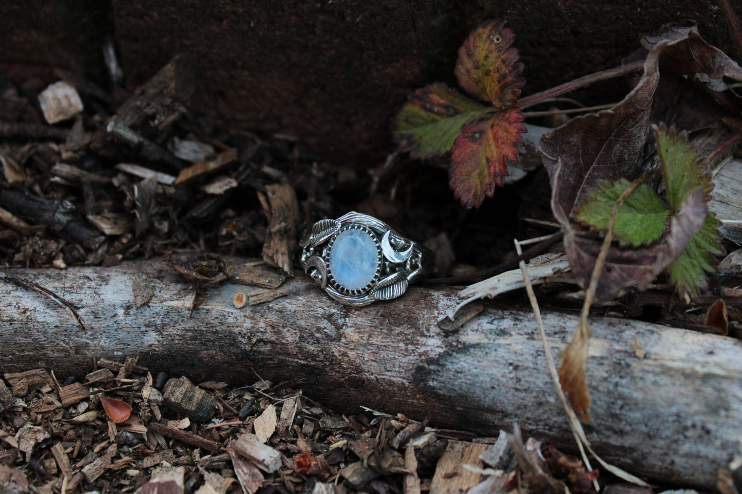 Witchlight Grove Ring - Moonstone Sterling Silver Ring - JF Fantasy Jewelry