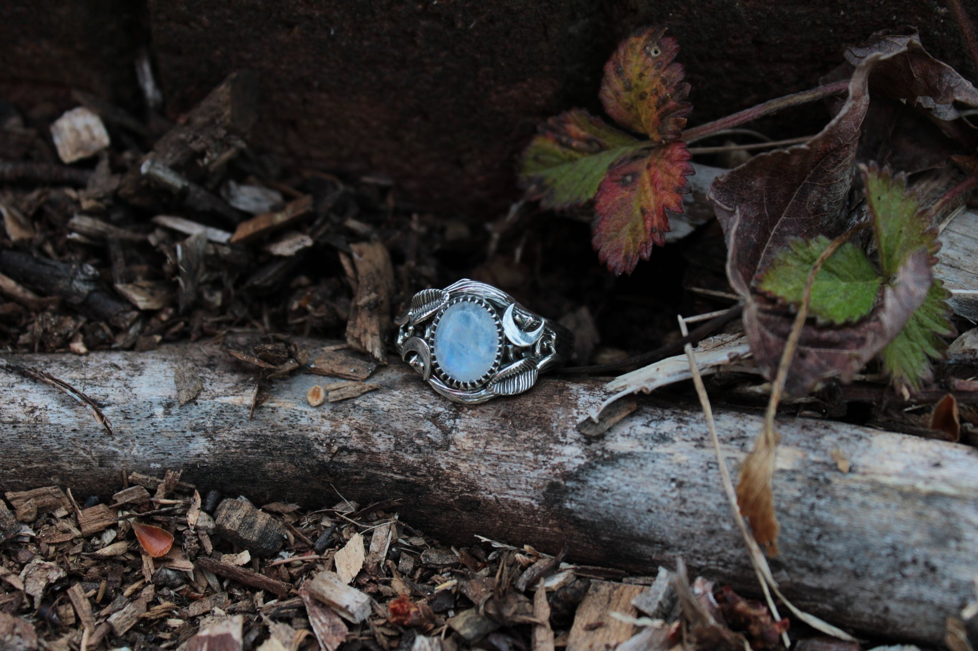 Witchlight Grove Ring - Moonstone Sterling Silver Ring - JF Fantasy Jewelry