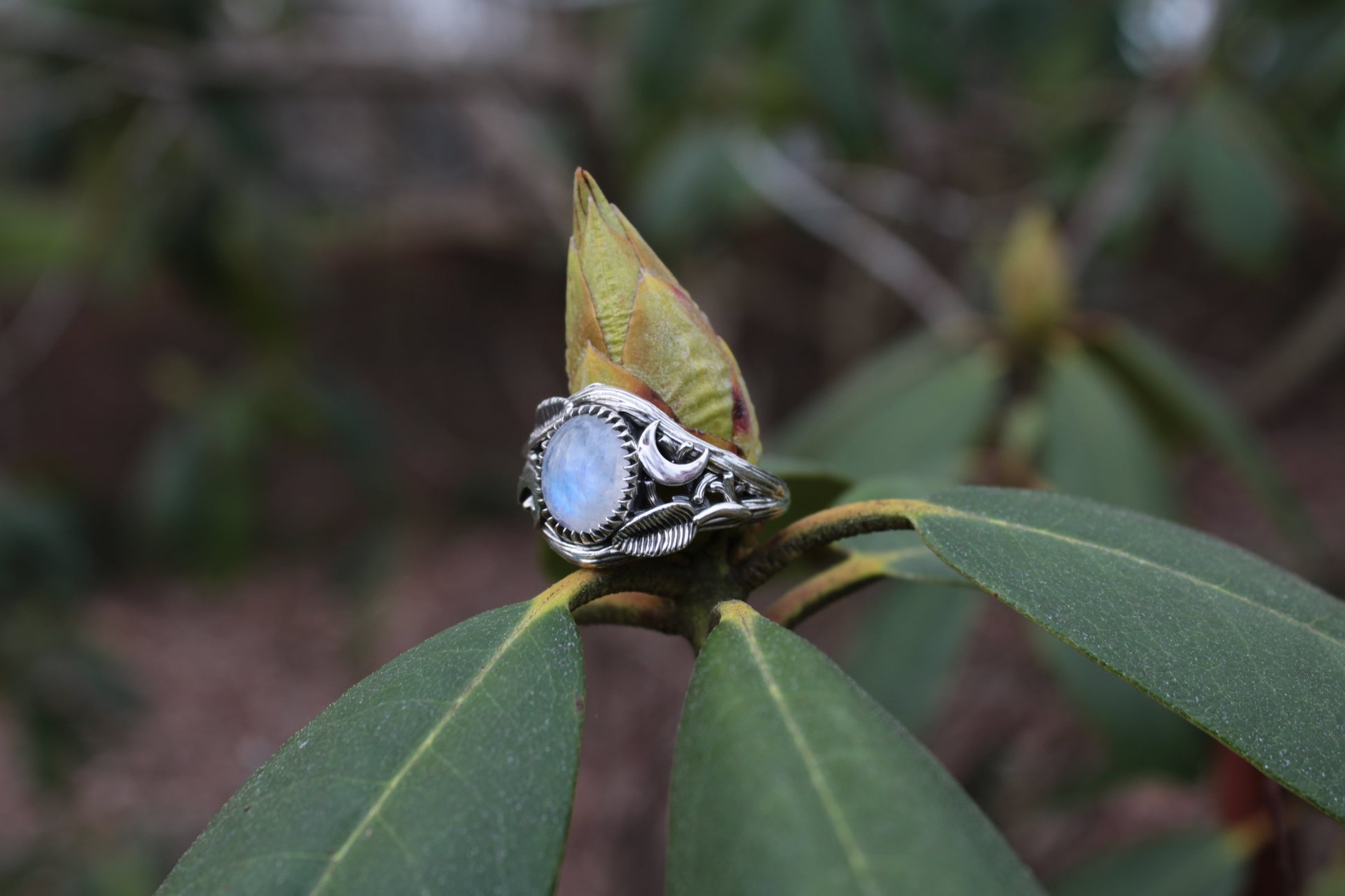 Witchlight Grove Ring - Moonstone Sterling Silver Ring - JF Fantasy Jewelry