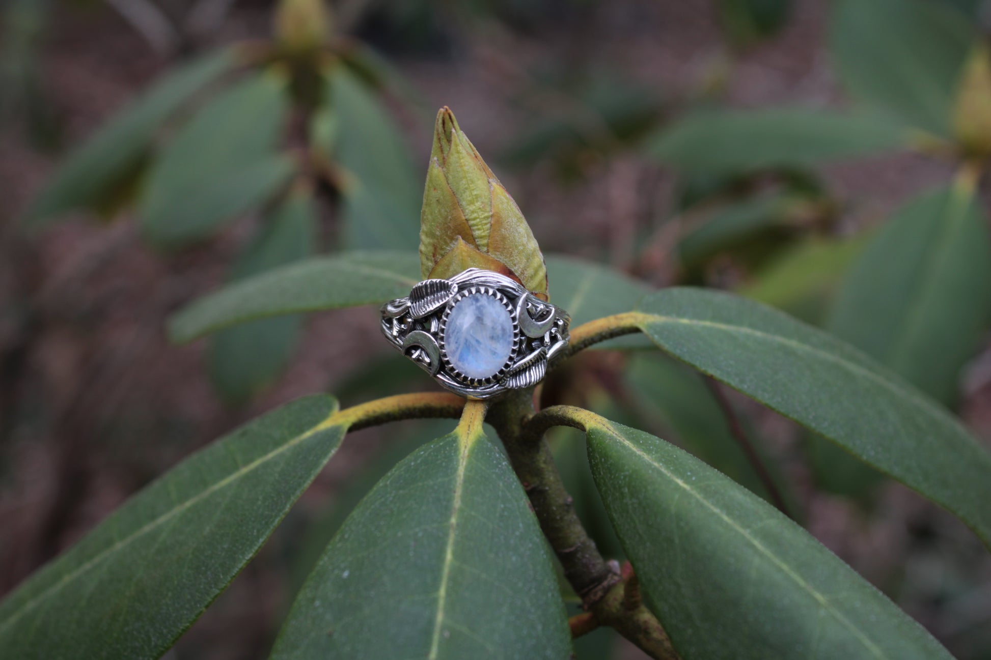 Witchlight Grove Ring - Moonstone Sterling Silver Ring - JF Fantasy Jewelry