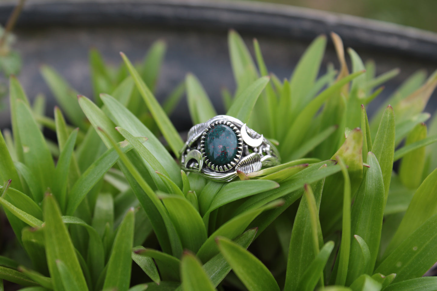 Witchlight Grove Ring - Bloodstone Sterling Silver Ring - JF Fantasy Jewelry