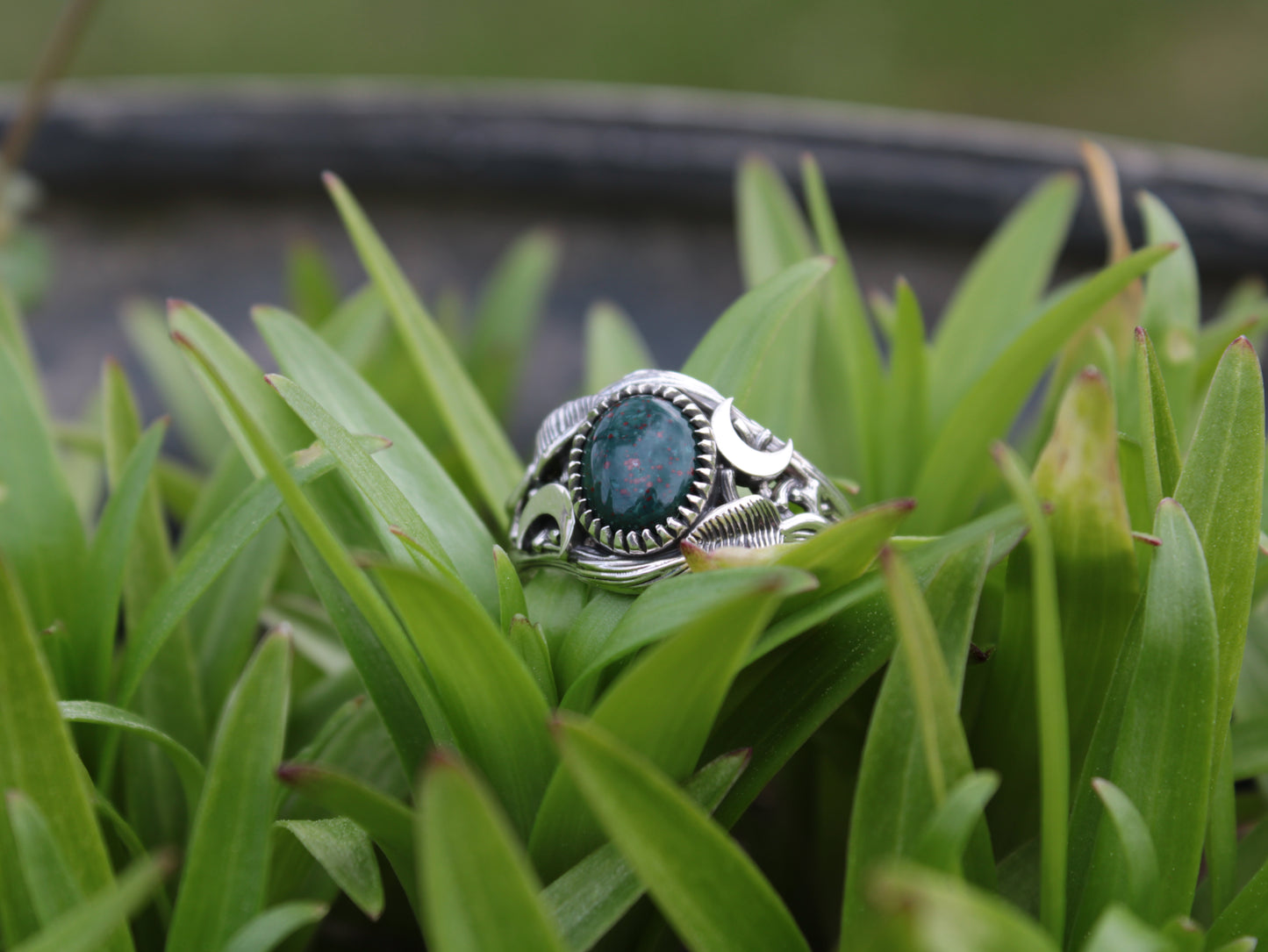 Witchlight Grove Ring - Bloodstone Sterling Silver Ring - JF Fantasy Jewelry