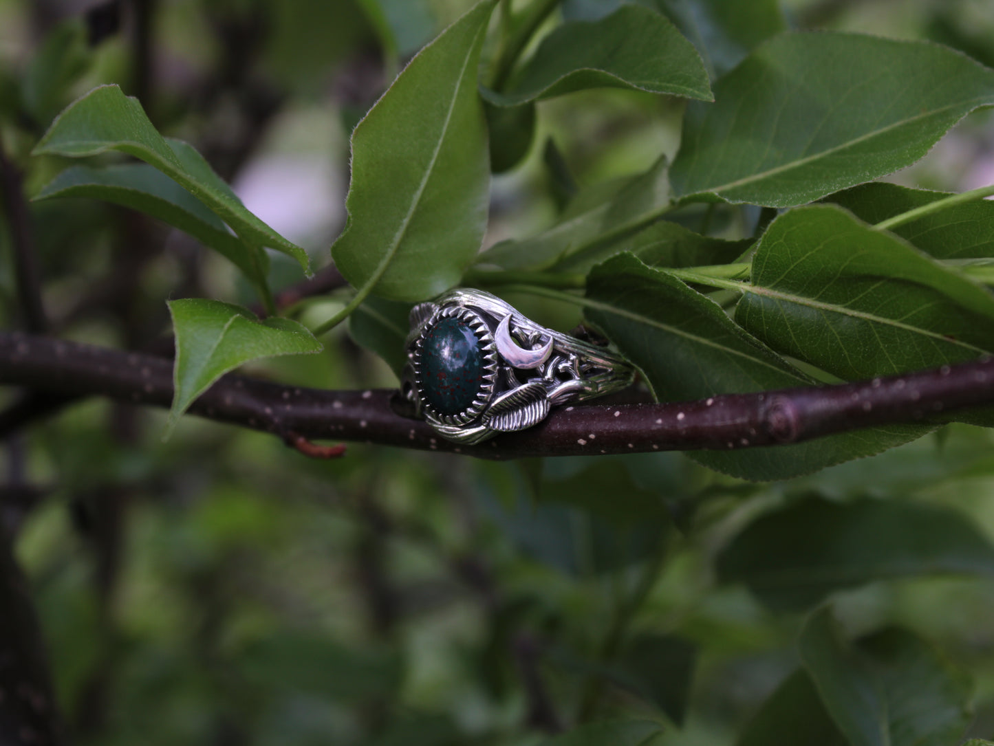 Witchlight Grove Ring - Bloodstone Sterling Silver Ring - JF Fantasy Jewelry