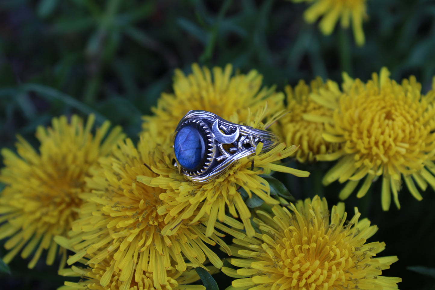 Witchlight Ring - Labradorite Sterling Silver Ring - JF Fantasy Jewelry