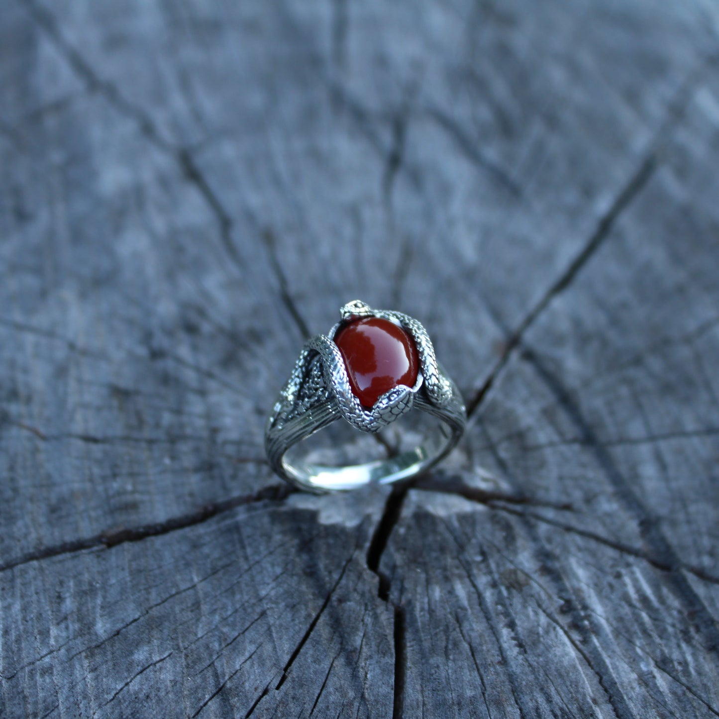 Raspberry Serpents of Thorns Ring - Carnelian