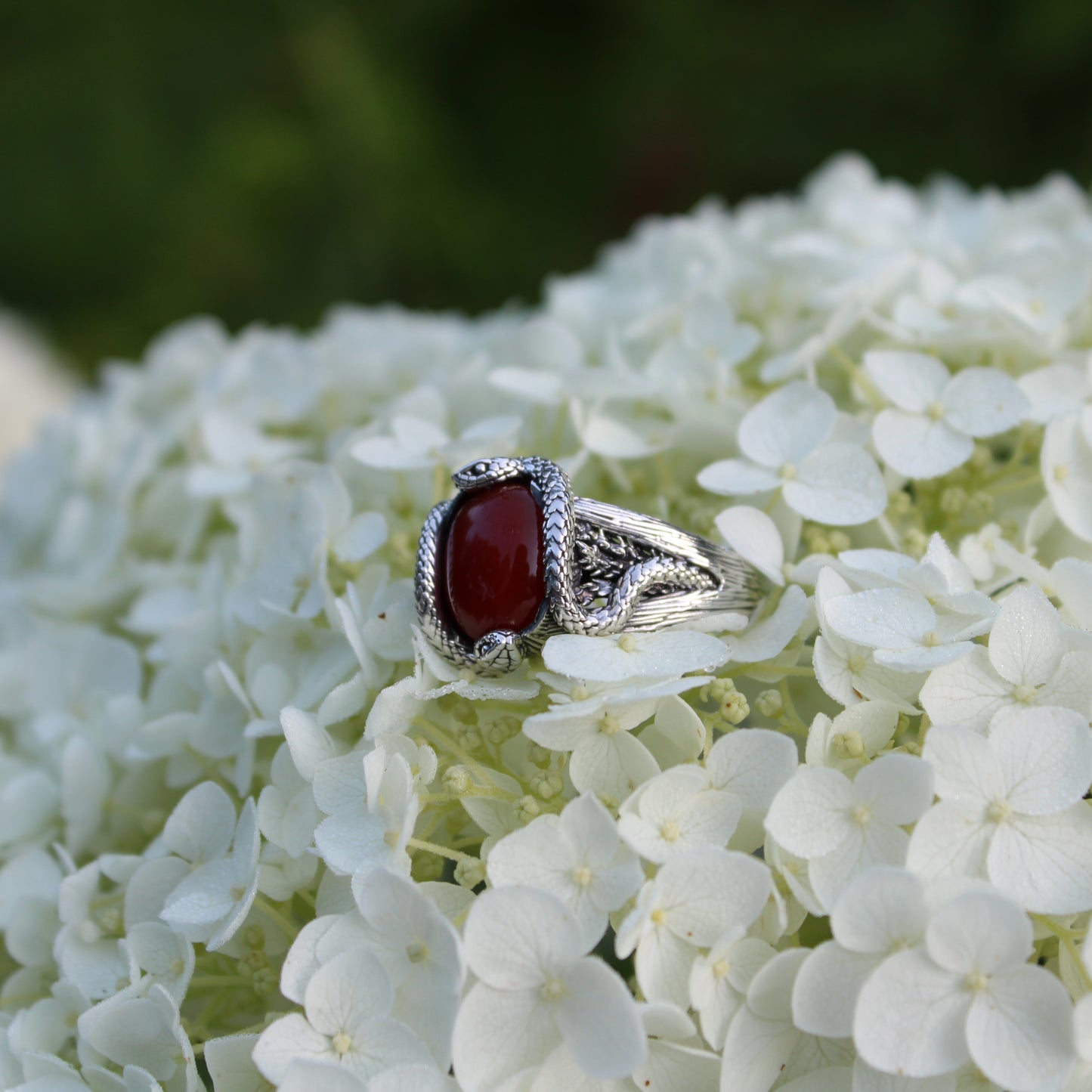Raspberry Serpents of Thorns Ring - Carnelian
