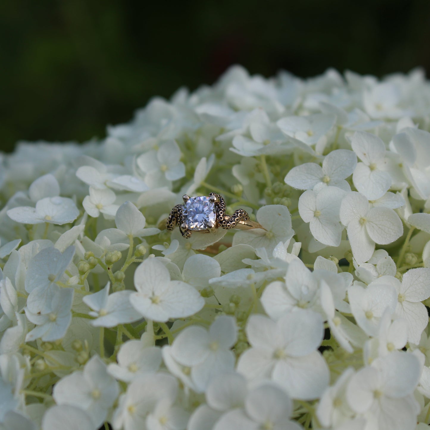 The Kraken's Embrace - Moissanite