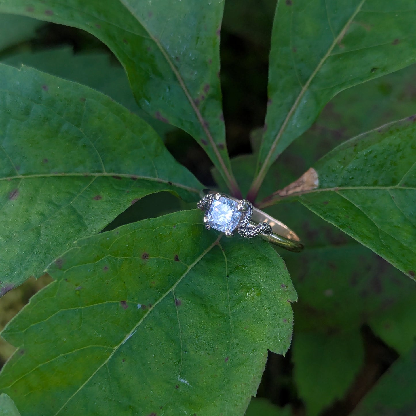 The Kraken's Embrace - Moissanite