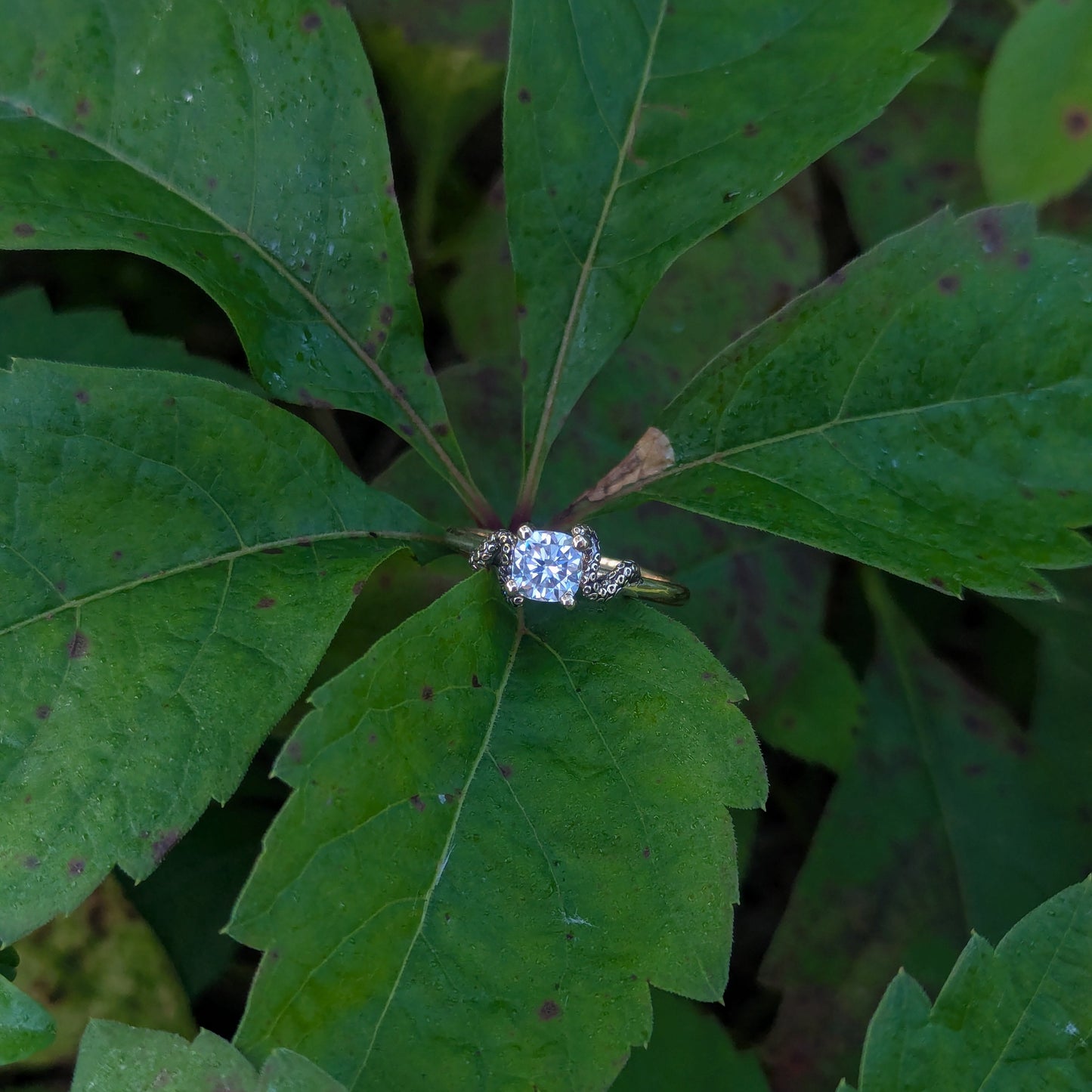 The Kraken's Embrace - Moissanite
