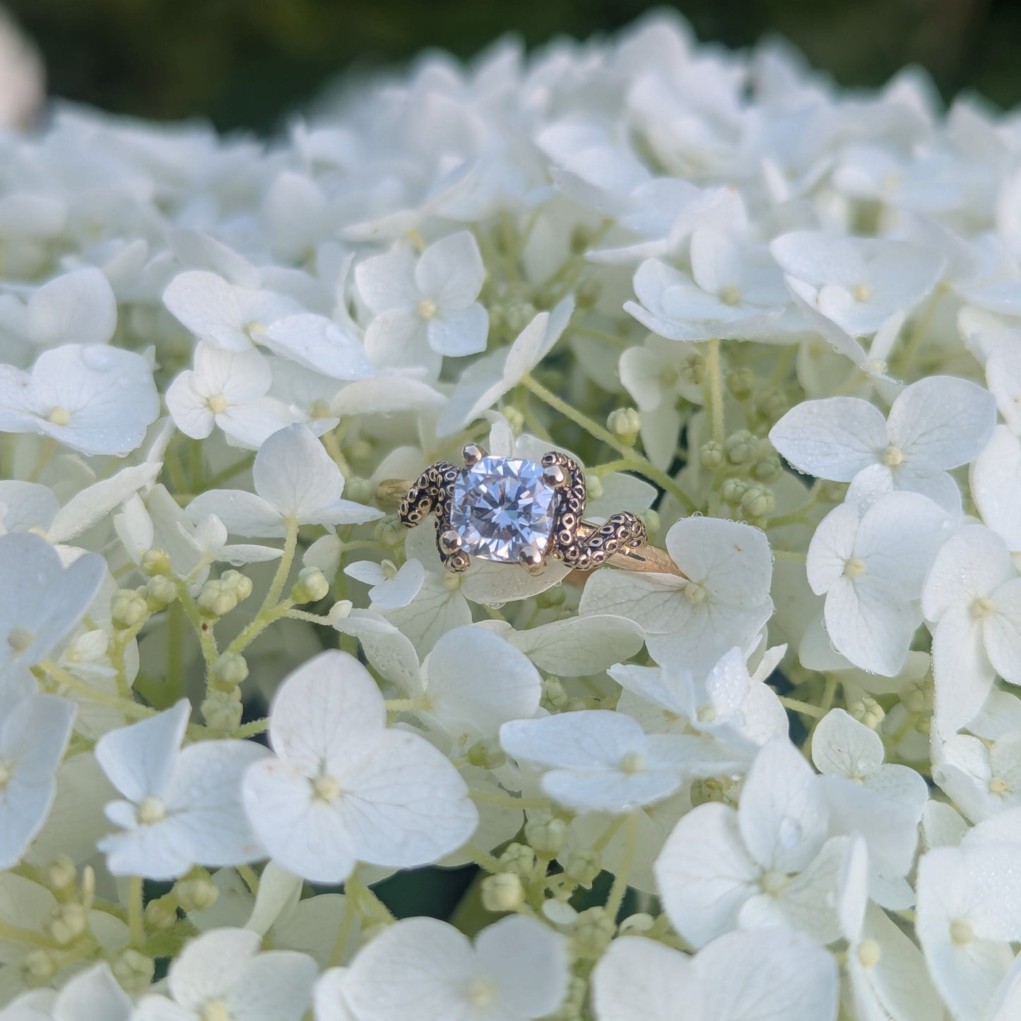 The Kraken's Embrace - Moissanite