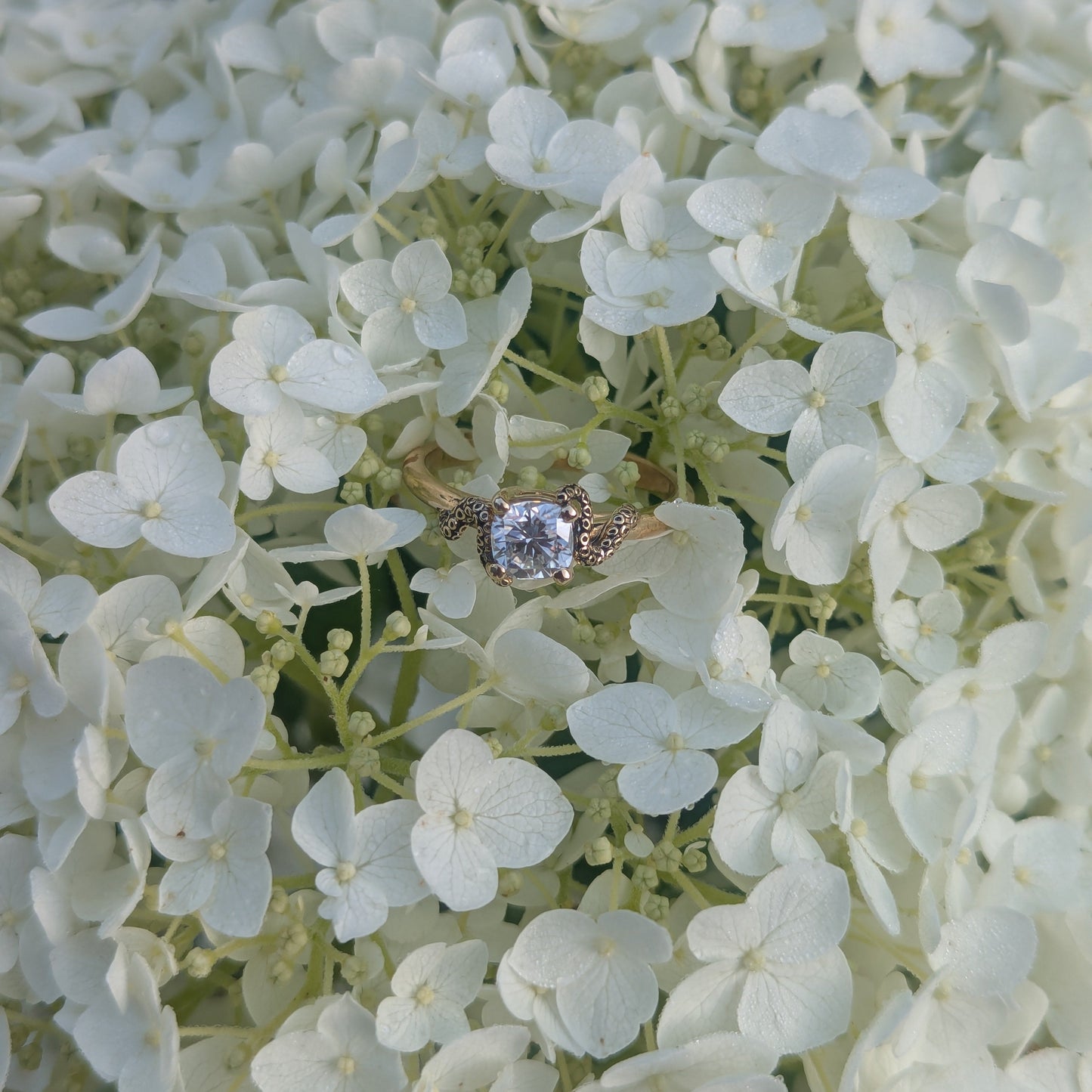 The Kraken's Embrace - Moissanite