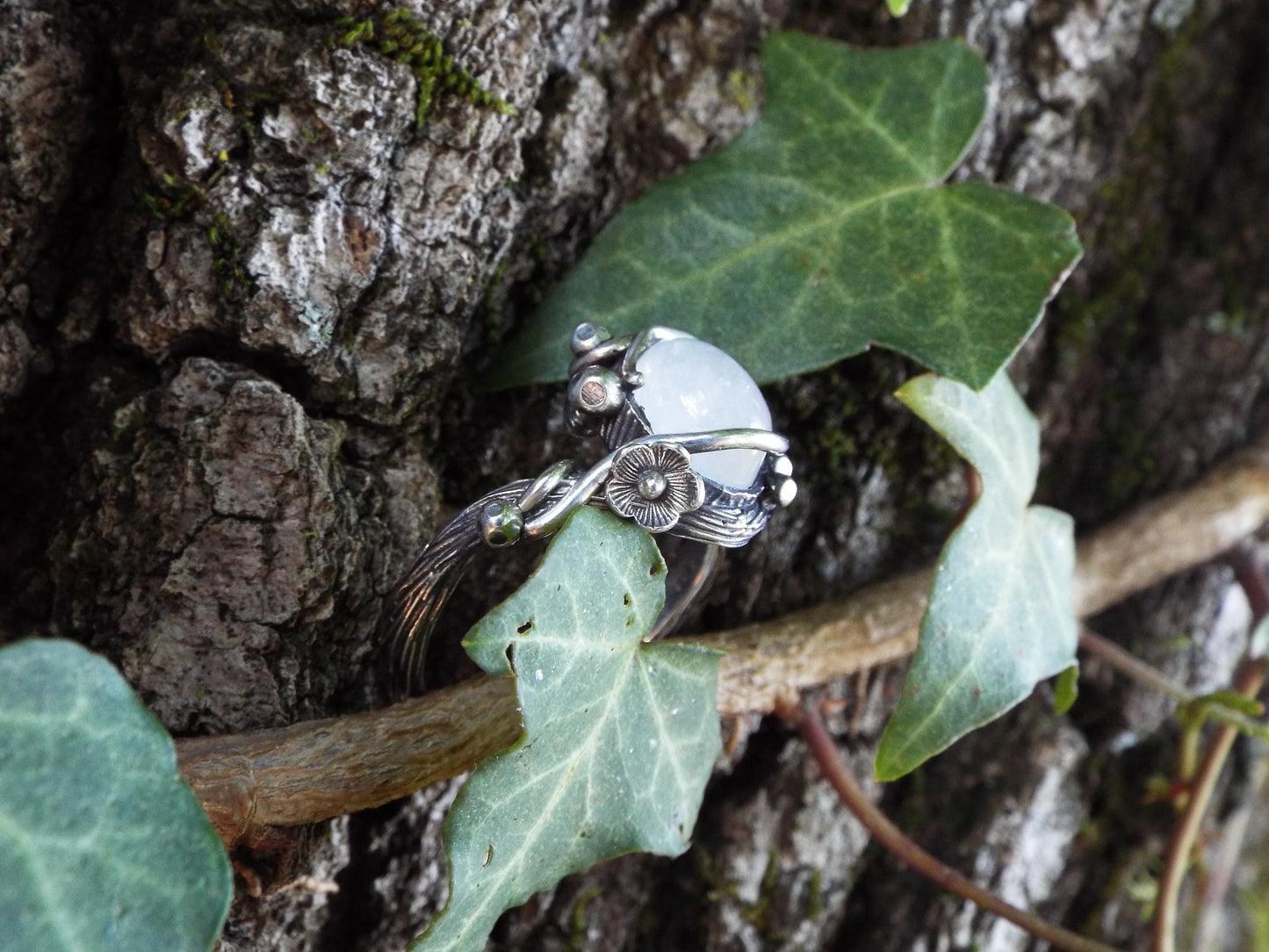 Moonlight Mushroom Forest