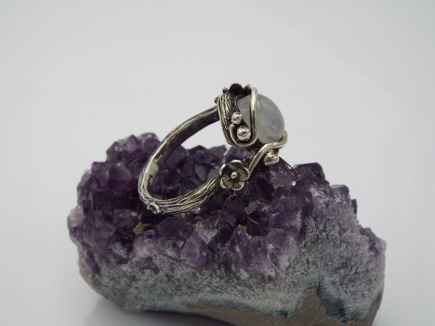 Moonlight Mushroom Forest