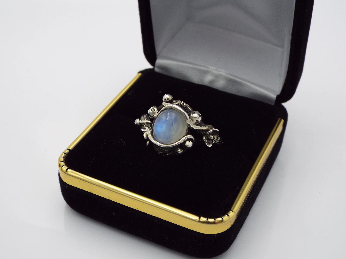 Moonlight Mushroom Forest