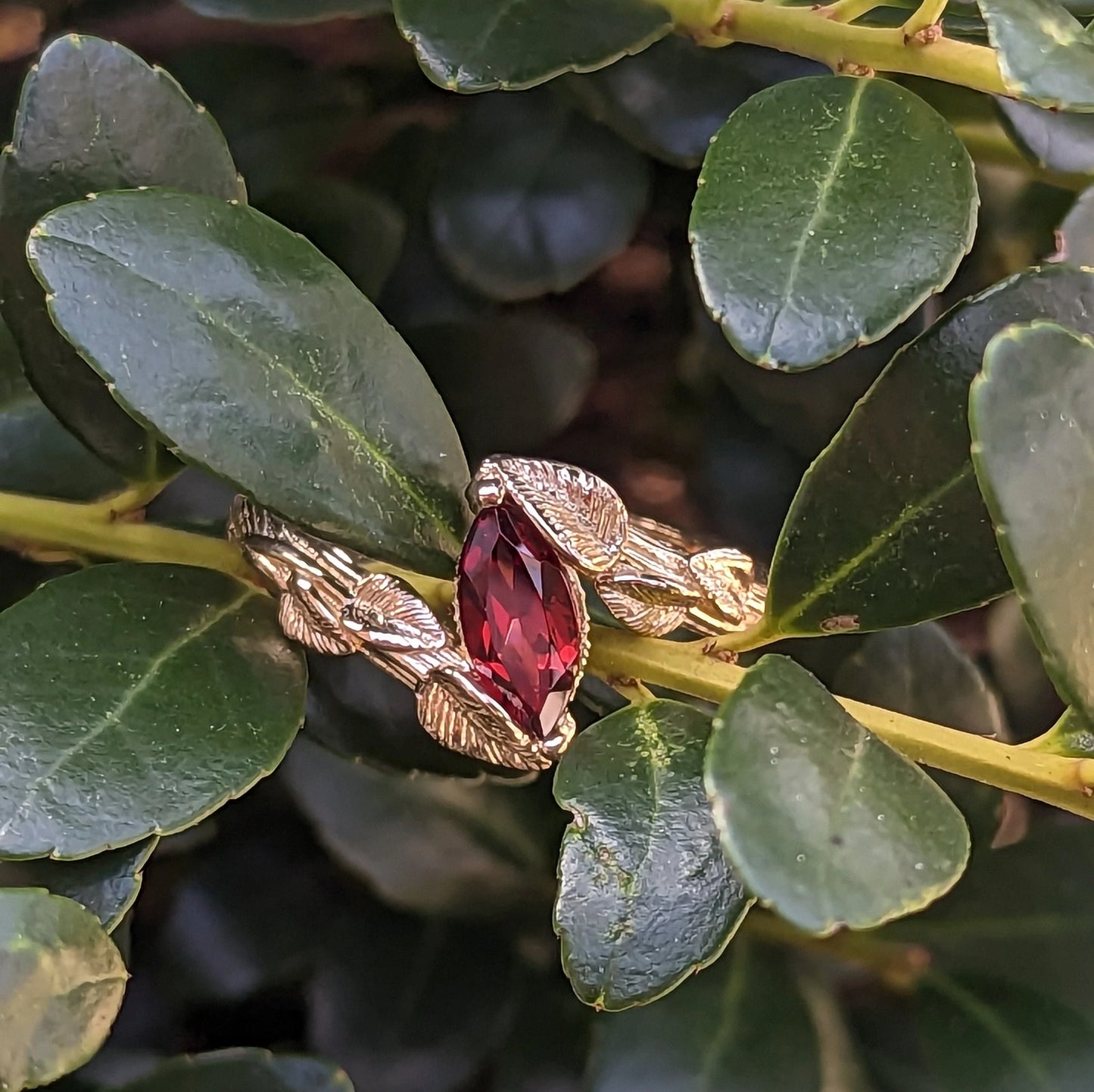 Garnet of the Forest