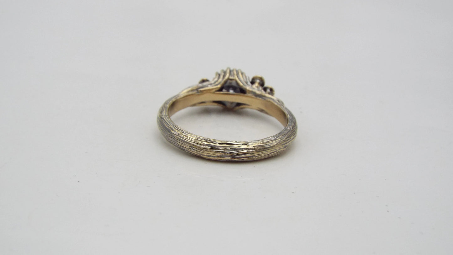 Golden Mushroom Grove