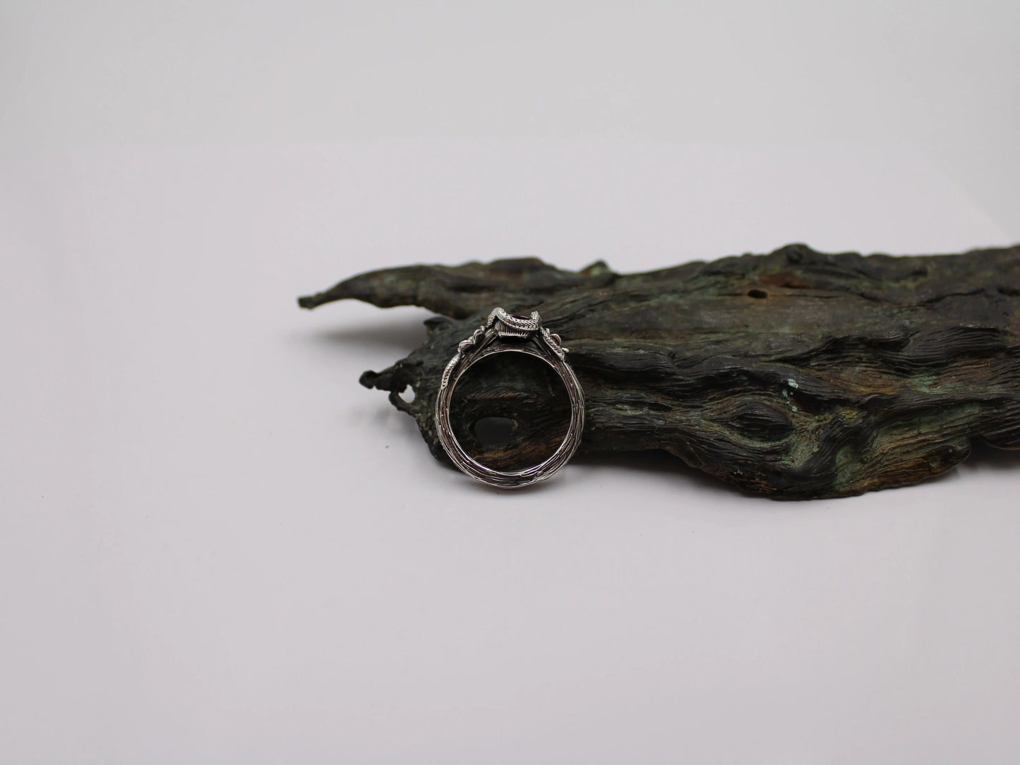 Serpent's Embrace Set in Sterling Silver