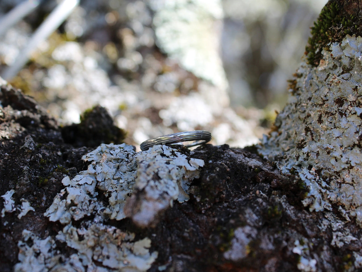 Serpent's Embrace Set in Sterling Silver