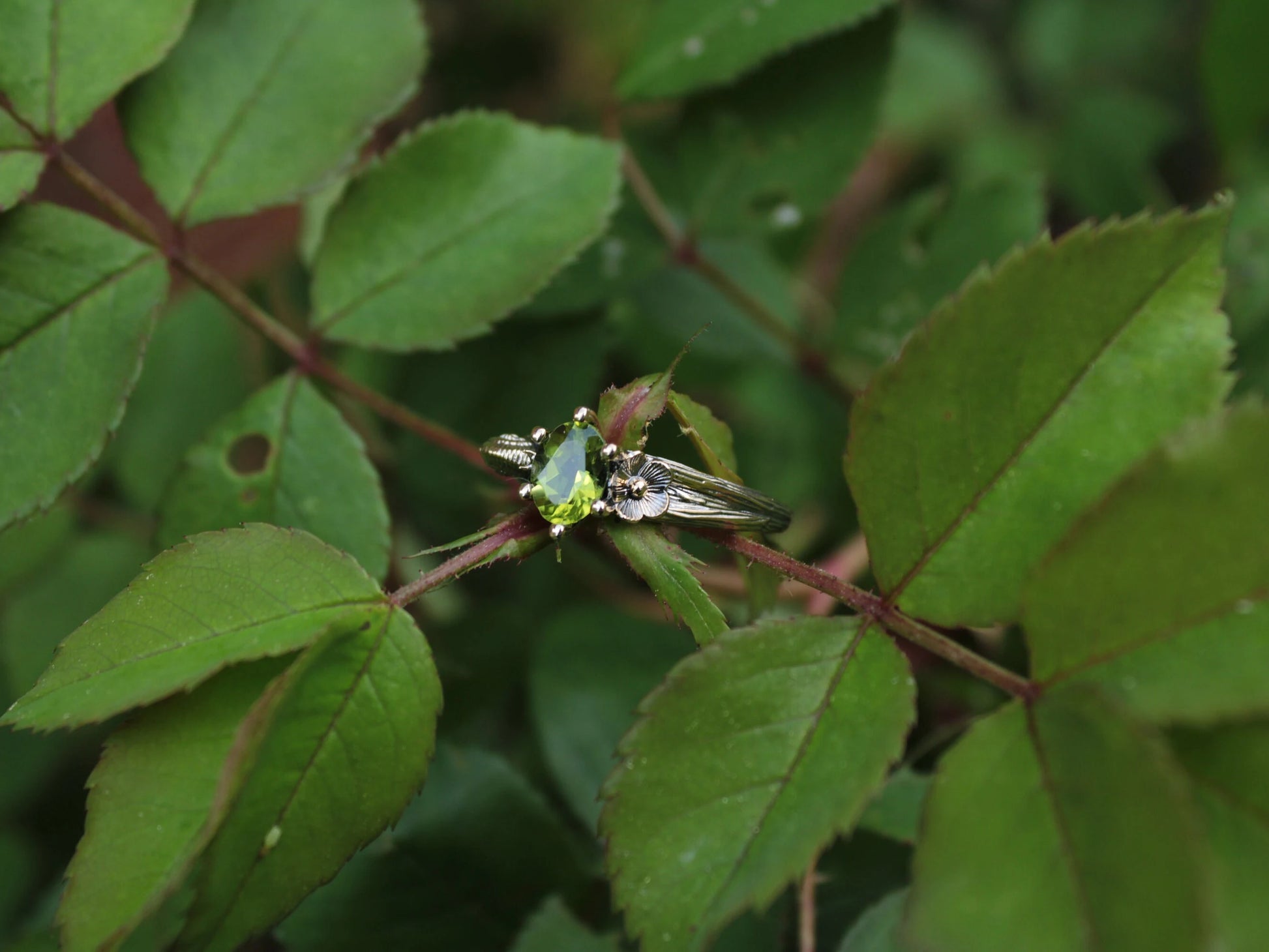 Petals and Shells Set - Peridot Gold Snail Bridal Ring Set - JF Fantasy Jewelry