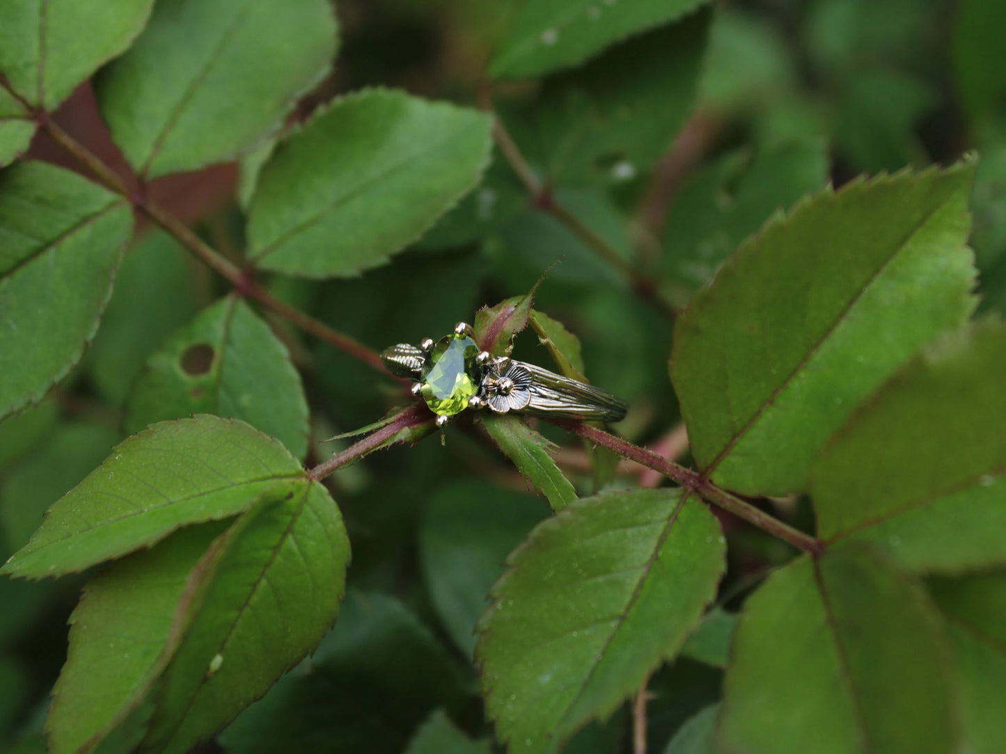 Petals and Shells - Peridot Gold Snail Engagement Ring