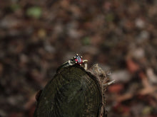 Load image into Gallery viewer, Petals and Shells, Garnet Gold Snail Engagement Ring
