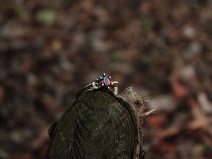 Petals and Shells, Garnet Gold Snail Engagement Ring