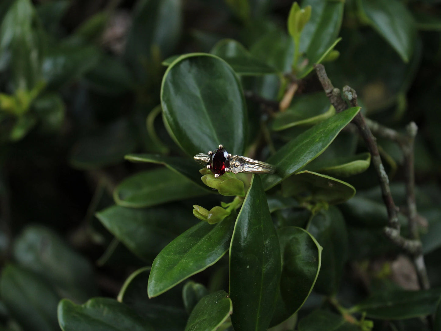 Petals and Shells - Garnet Gold Snail Engagement Ring - JF Fantasy Jewelry