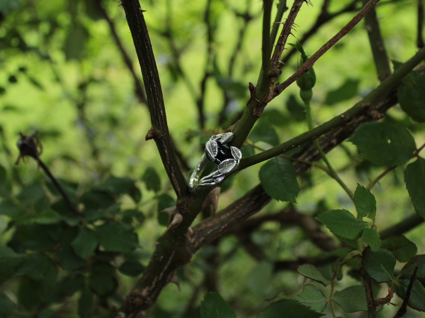 Leafy Trails - Black Onyx Snail Ring