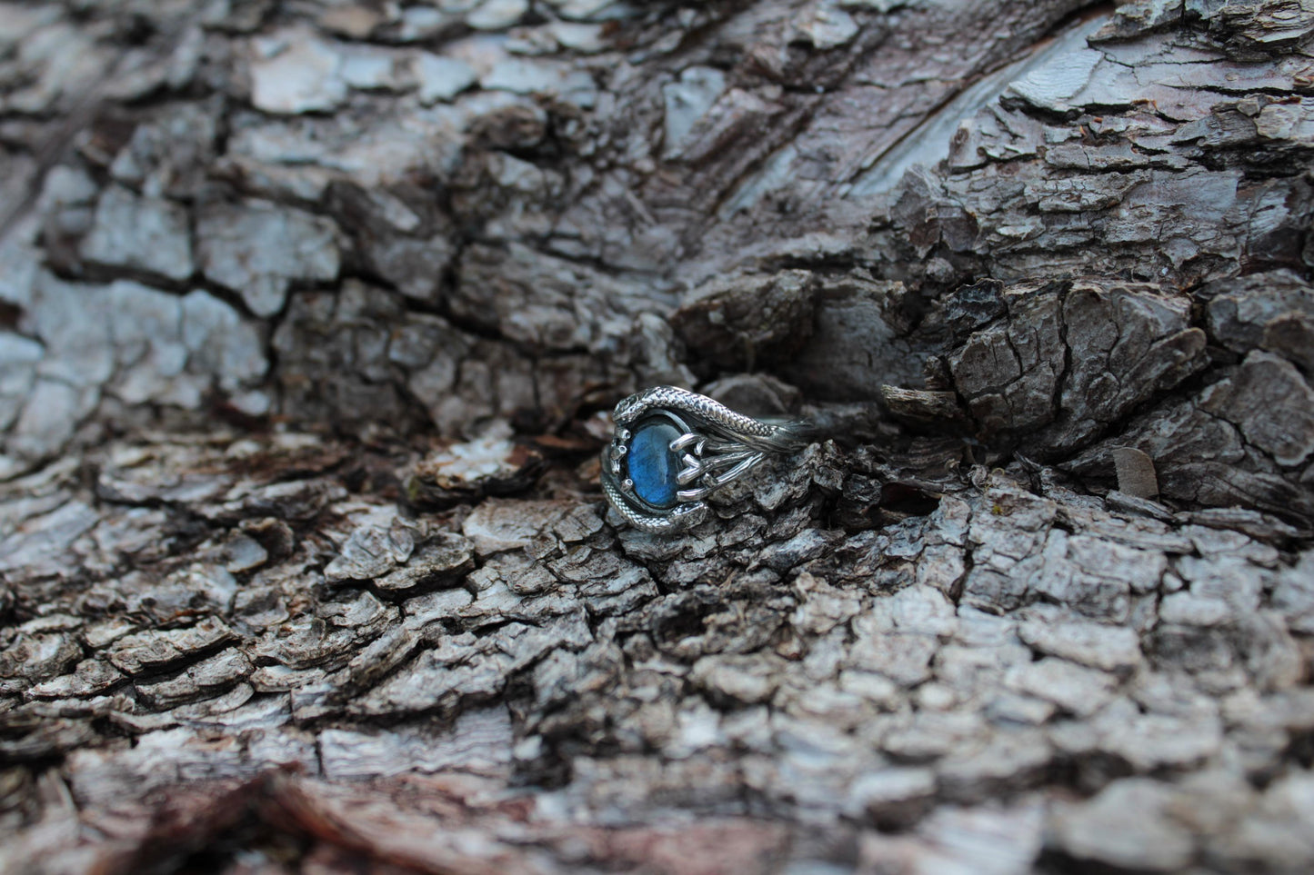 Serpent & Branch Ring - Sterling Silver Labradorite Ring