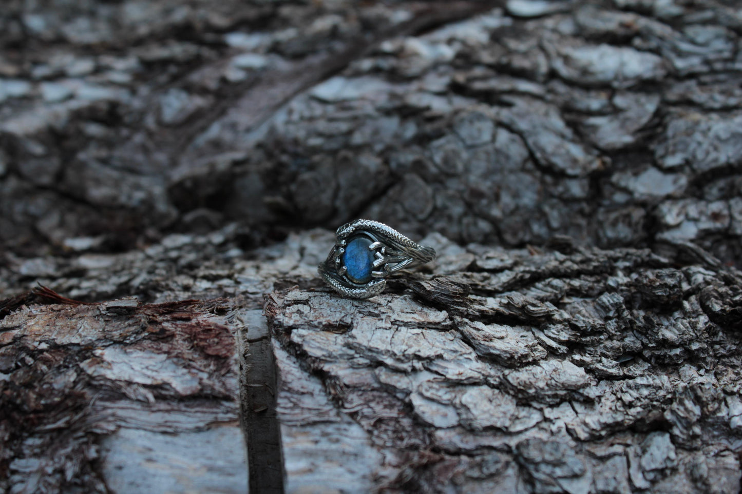 Serpent & Branch Ring - Sterling Silver Labradorite Ring