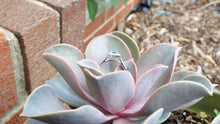 Load image into Gallery viewer, &quot;True Blue&quot; Blue Sapphire and Diamond Engagement ring - JF Fantasy Jewelry
