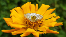 Load image into Gallery viewer, Yellow Diamond Engagement Ring - JF Fantasy Jewelry
